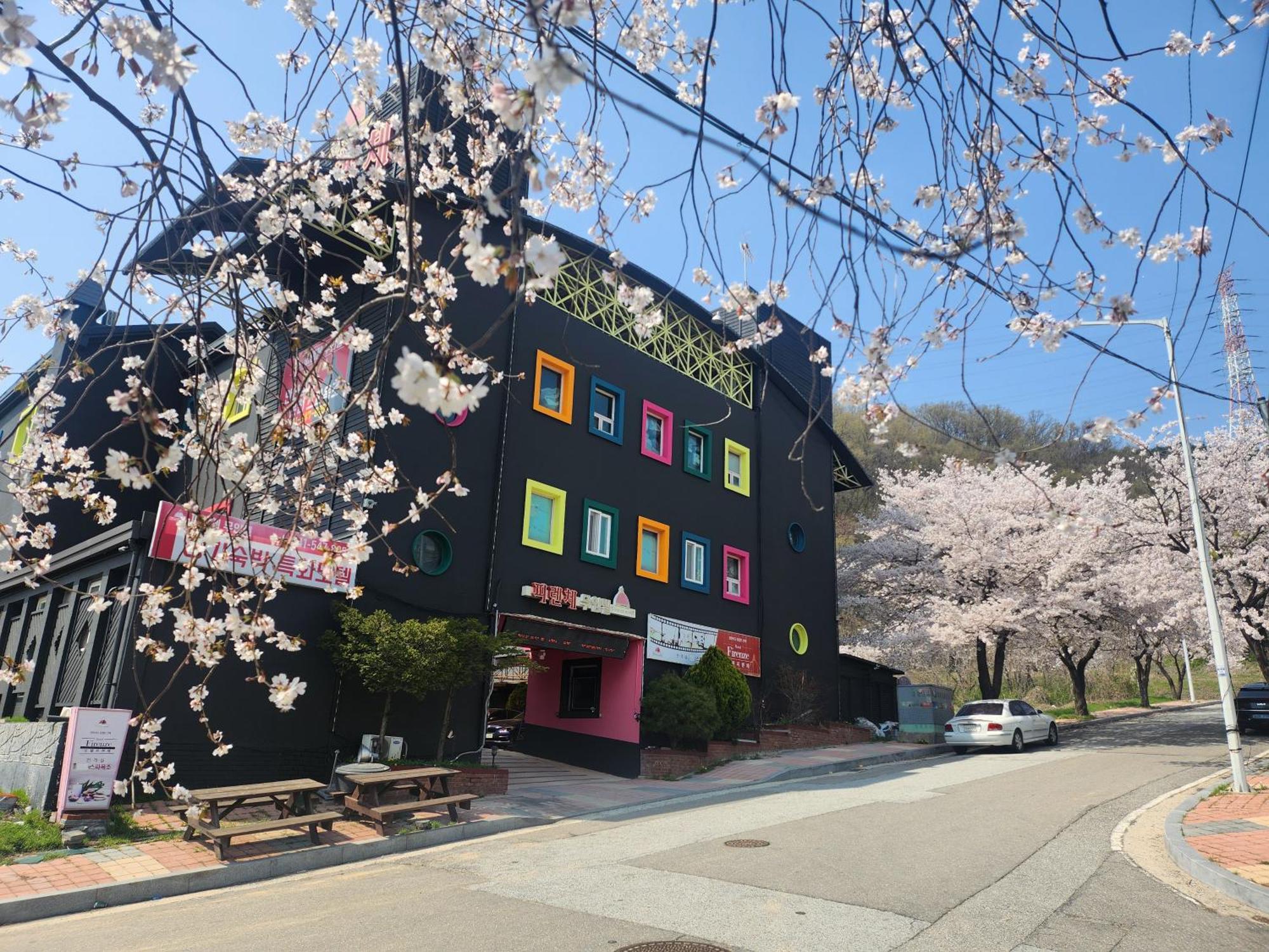 Firenze Motel Asan Ngoại thất bức ảnh